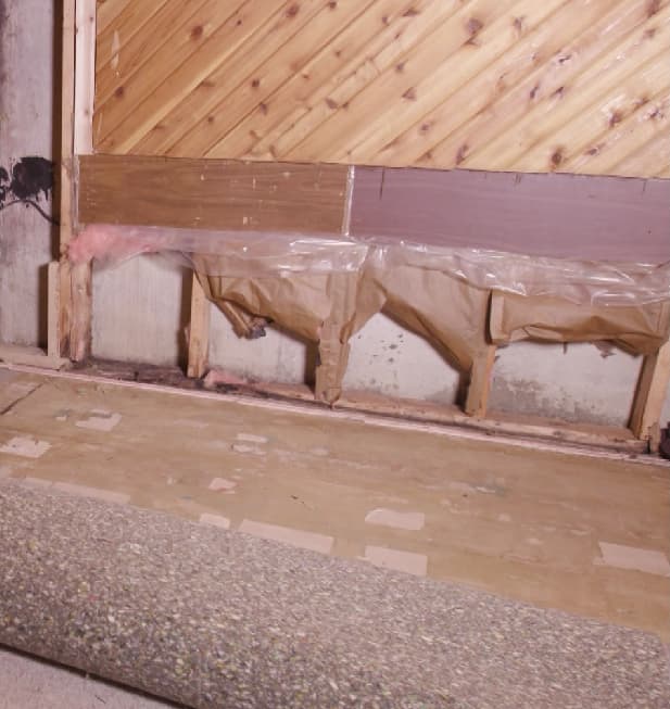 Image of Water damage hidden behind a basement wall.