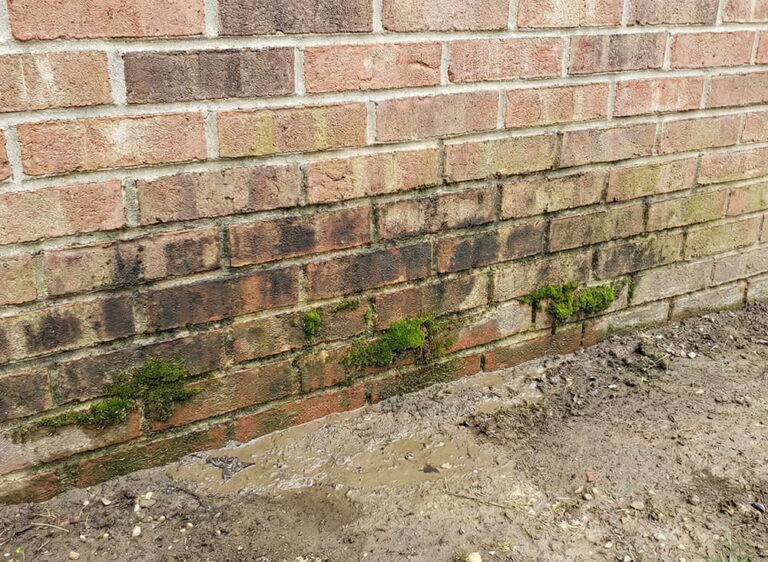 Green moss growth and dark water staining on the lower bricks of a residential foundation, indicating long-term chronic moisture exposure.