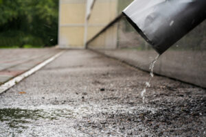 What to Watch for in Your Yard This Spring to Protect Your Foundation