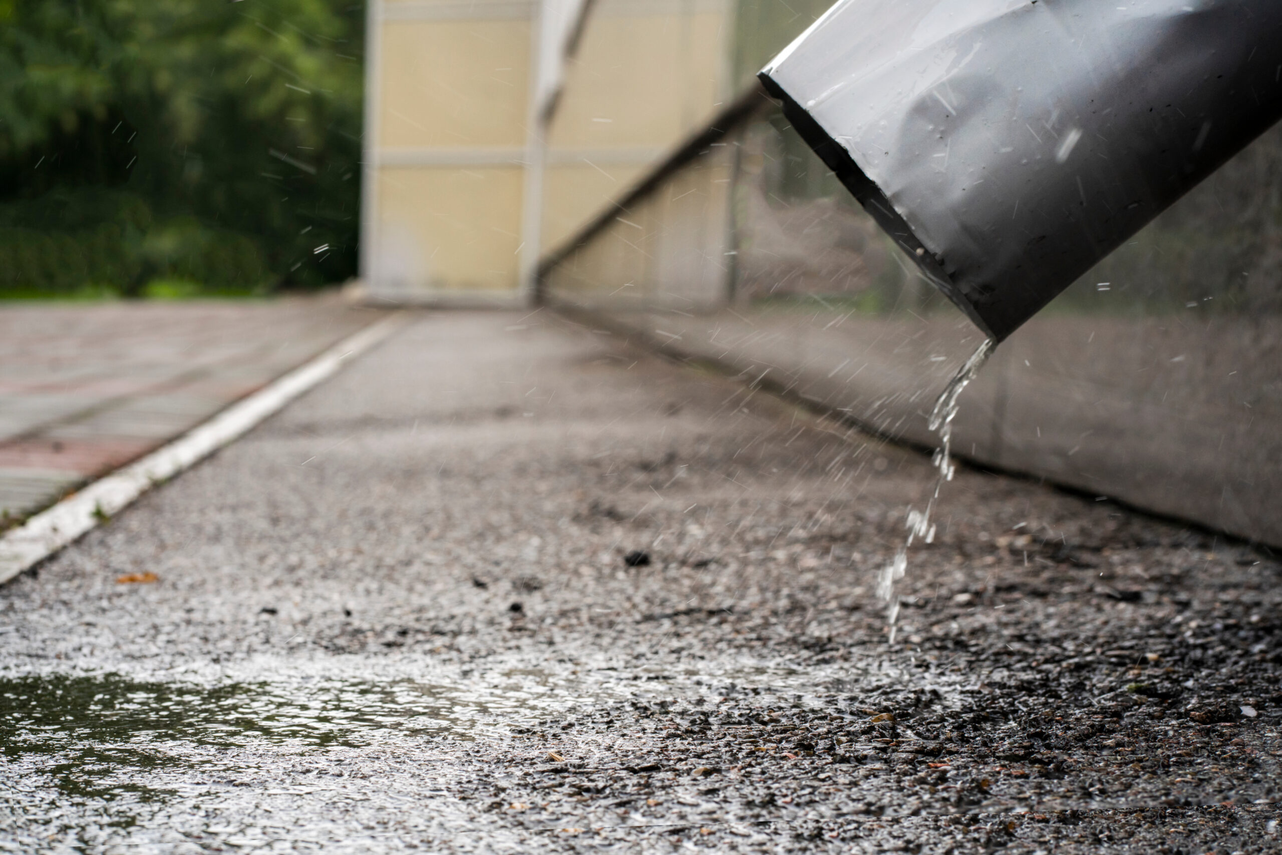 What to Watch for in Your Yard This Spring to Protect Your Foundation