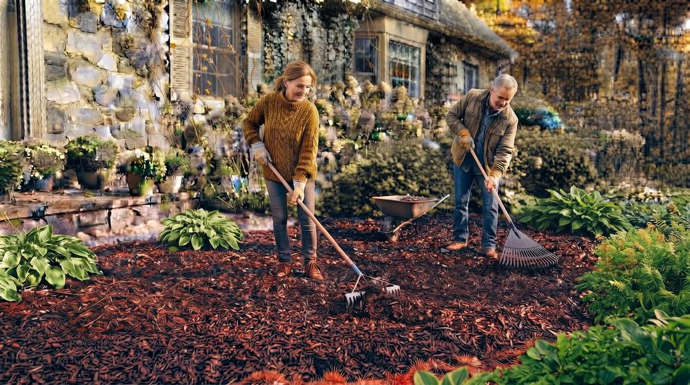 Two homeowners raking an even layer of mulch around hostas in an autumn garden bed