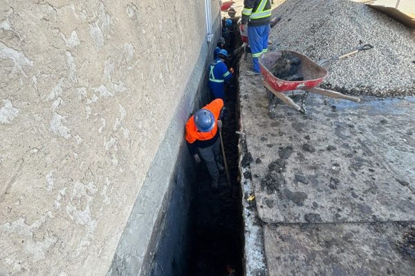 down-net_http20250312-96-7ybmuq