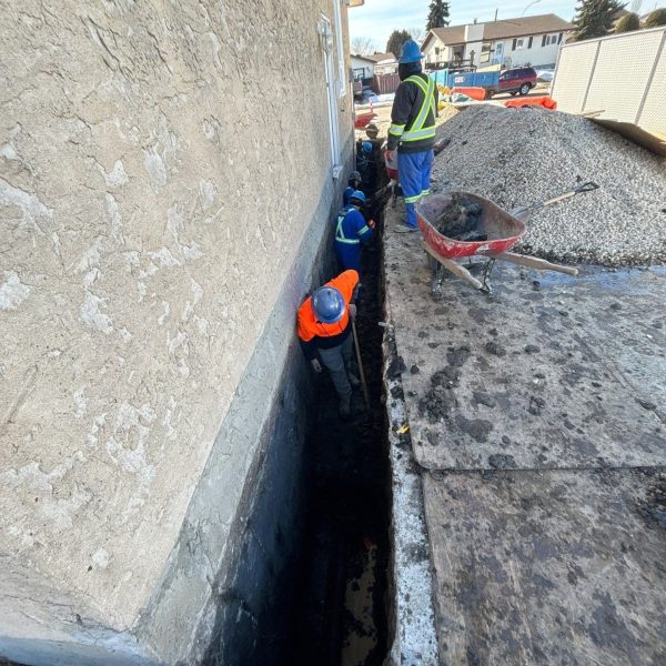 down-net_http20250312-96-7ybmuq