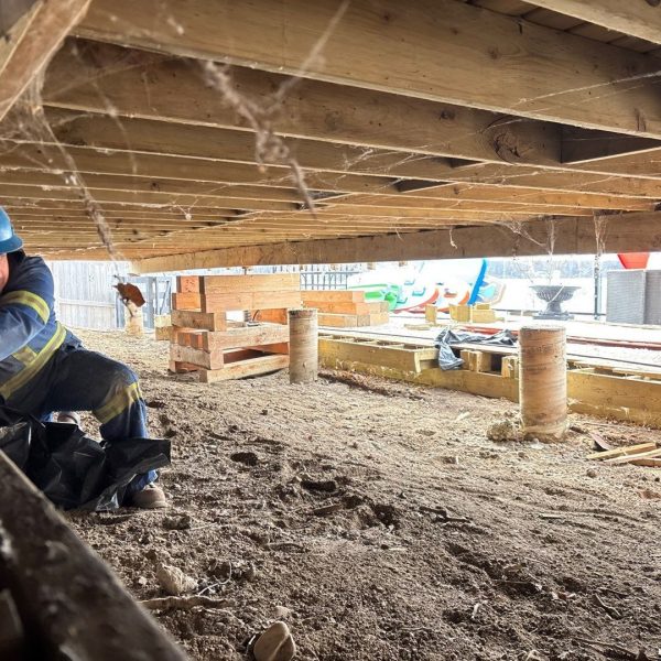 down-net_http20250314-160-rv9wth