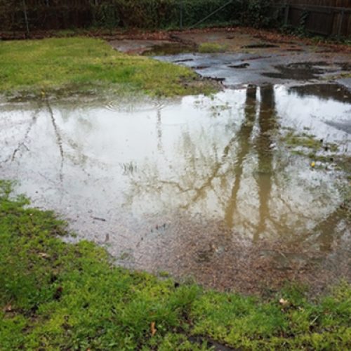 water-in-yard water-in-yard